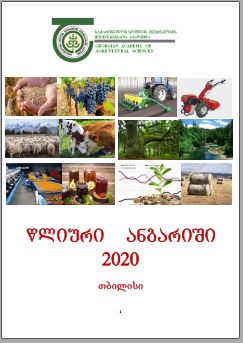 Annual report 2020