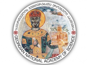 საერთაშორისო კონგრესი